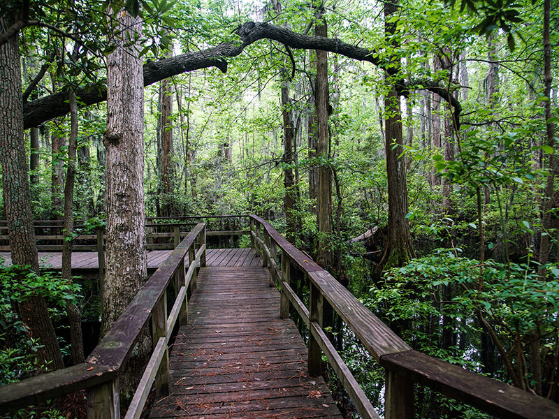 Bridge at First Landing State Park